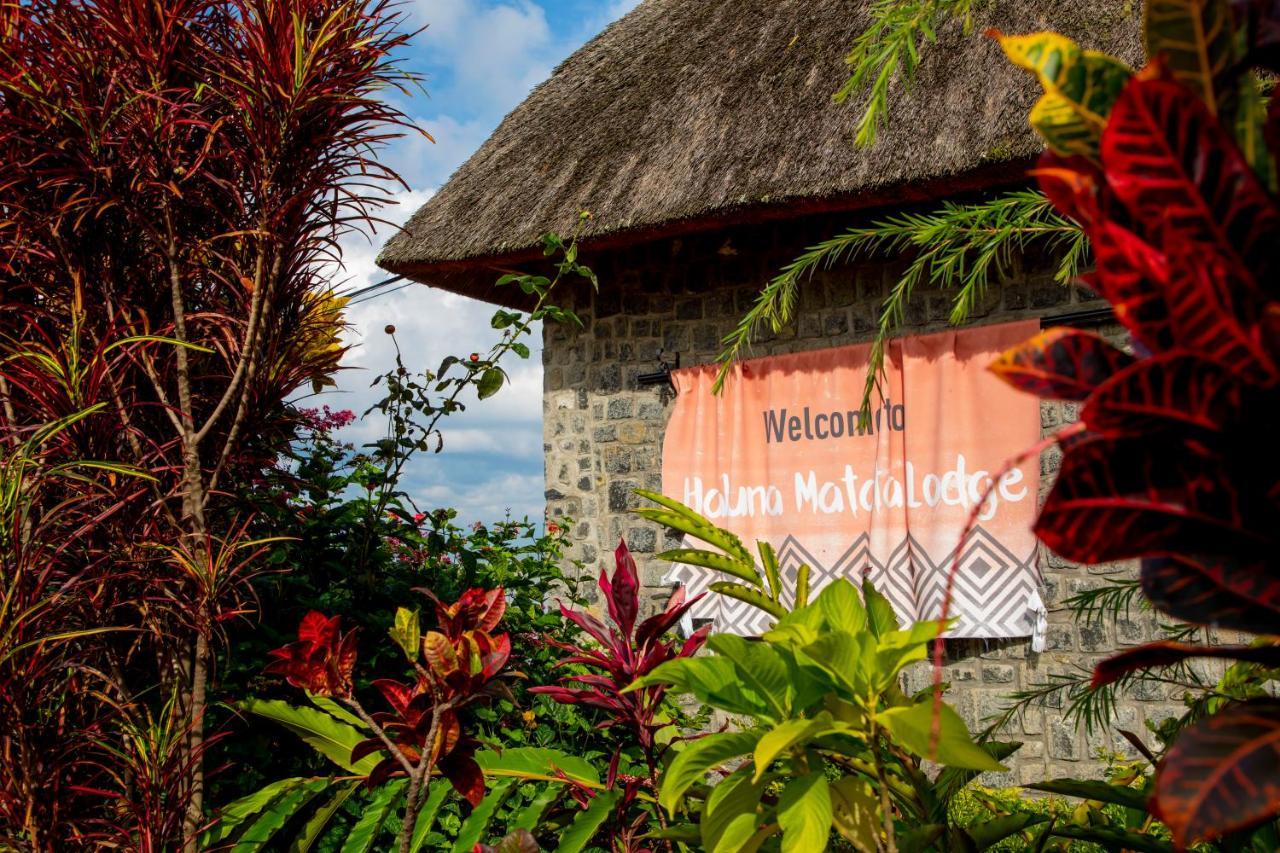 Hakuna Matata Lodge Gisenyi Eksteriør bilde